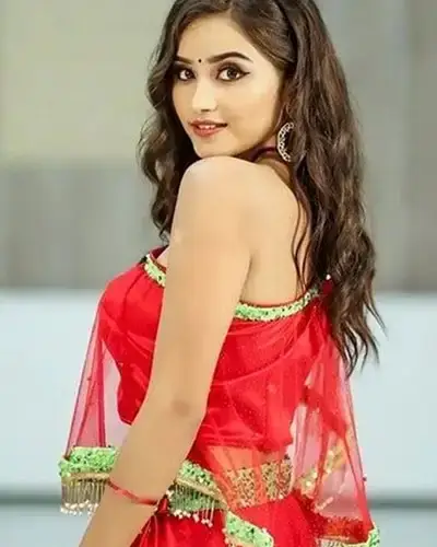 Call Girls Service Shahkot